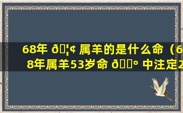 68年 🦢 属羊的是什么命（68年属羊53岁命 🌺 中注定2021）